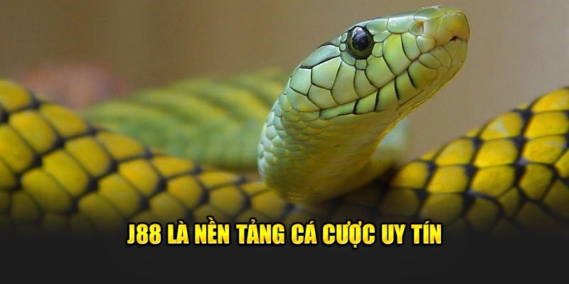 J88 là nền tảng cá cược uy tín