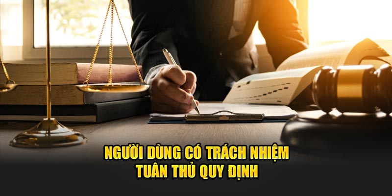 Người dùng có trách nhiệm tuân thủ khi truy cập