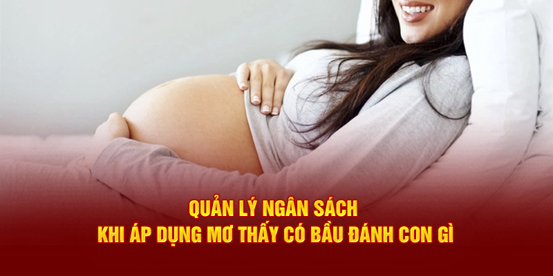 Quản lý ngân sách khi áp dụng mơ thấy có bầu đánh con gì