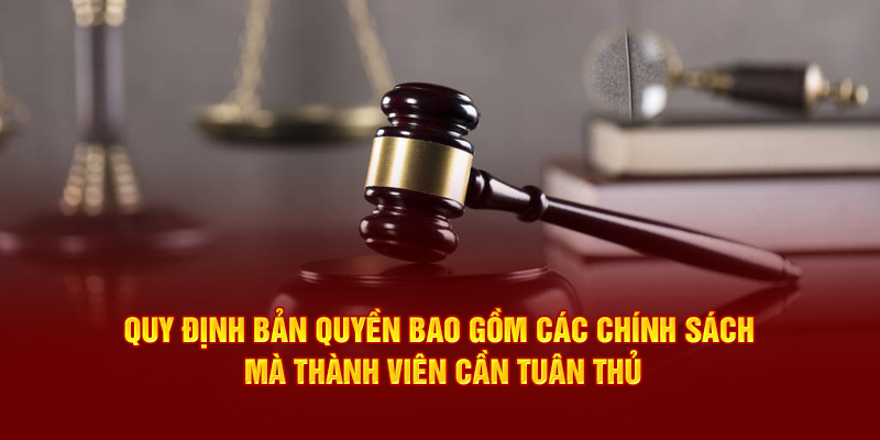 Quy định bản quyền bao gồm các chính sách mà thành viên cần tuân thủ